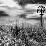Timeless Monochrome Art: The Power of Black, White, and Everything in Between